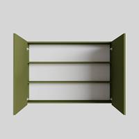 Boss & Wessing Spiegelkast  Cube 100x70x16 cm 2 Deuren Groen