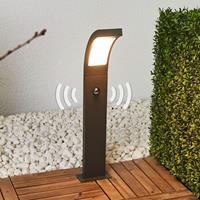 Lampenwelt.com Bewegingssensor-tuinpadverlichting Juvia met LED's