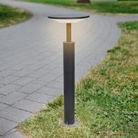 Lampenwelt.com Antraciet gekleurde LED buitenwandlamp Fenia