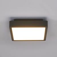 Lampenwelt.com Vierkante led-buitenplafondlamp Talea