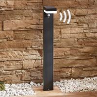 Lampenwelt.com LED tuinpadverlichting Chioma met sensor