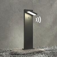 Lampenwelt.com LED tuinpadverlichting Silvan, 65 cm, met sensor