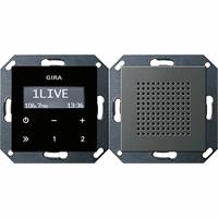 GIRA Systeem 55 - Radio 2280600 Edelstaal