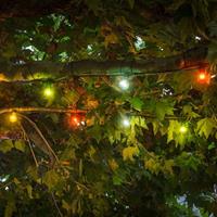 LED lichtketting Biergarten, uitbreiding, kleurr