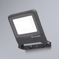 Ledvance Endura Floodlight LED buitenspot, 20 W