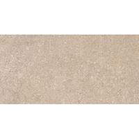 Douche Concurrent Wandtegel Jabo Pierre Decor Mat Taupe 30x60 Gerectificeerd