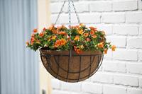 nature Hanging Basket H16xØ30cm