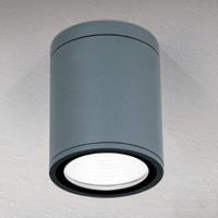 Orion LED plafondlamp Sputnik voor buiten 9 cm