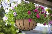 nature Hanging Basket Smeedijzer zwart H20xØ35cm