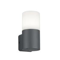 Trio Hoosic TR 224060142 Anthrazit