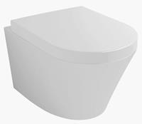 Sanifun Hang toilet