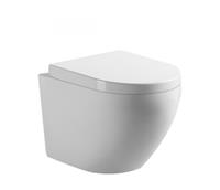 Sanifun Hang toilet