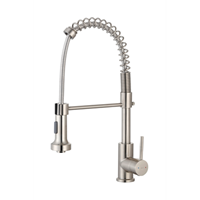 EsseBagno keukenkraan Plimo met uittrekbare handdouche nikkel