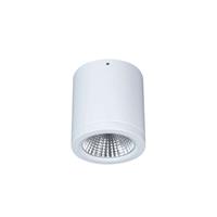 LTS LED aanbouw-downlight Button Mini 100 IP54 55° 16W