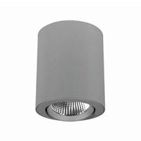 LTS Zwenk- en draaibare LED-spot Button 300, 27 W