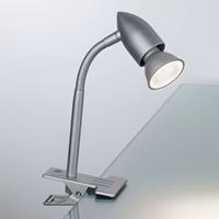 Paulmann Gesa klemlamp, chroom mat