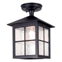 Elstead Buiten plafondlamp Winchester BL18A