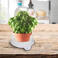 näve Led-tafellamp Grow Light