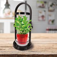 näve Led-tafellamp Grow Light