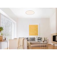 Leuchten Direkt home24 LED-Deckenleuchte Flat IV