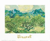 Vincent Van Gogh - Landscapes with olive trees Kunstdruck 30x24cm