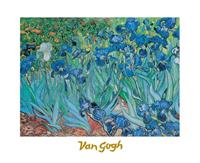 Vincent Van Gogh - Iris Kunstdruk 30x24cm