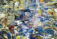 PGM Ortwin Klipp - Liquids 1 Kunstdruk 100x70cm
