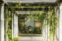 Looppad Tuin Vlies Fotobehang 350x260cm