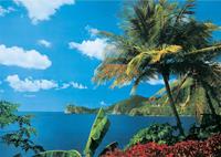 St. Lucia Vlies Fotobehang 350x260cm