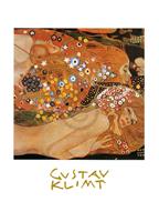 Gustav Klimt - Acqua Mossa Kunstdruk 50x70cm