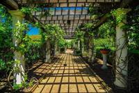Looppad in Tuin Vlies Fotobehang 350x260cm