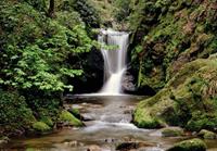 Waterval Bosbeek Vlies Fotobehang 350x260cm