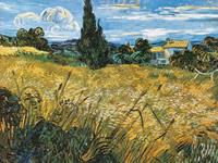 PGM Vincent Van Gogh - Campo di grano Kunstdruk 80x60cm