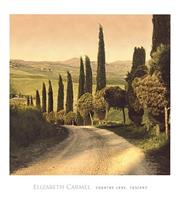 Elisabeth Carmel - Country Lane, Tuscany Kunstdruk 45x50cm
