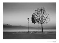 PGM Christian Coigny - Lutry Lac Lemon Kunstdruk 80x60cm