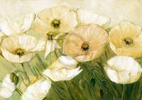 PGM Elisabeth Krobs - Tender Poppies Kunstdruk 29.7x21cm