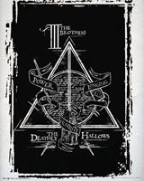 Harry Potter Deathly Hallows Graphic Poster 40x50cm