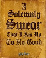 Harry Potter I Solemnly Swear Poster 40x50cm