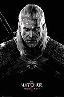 GBeye The WItcher Toxicity Poisoning Poster 61x91,5cm