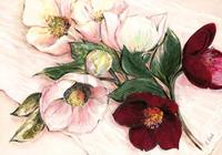 PGM Elisabeth Krobs - Elegant Anemones Kunstdruk 100x70cm