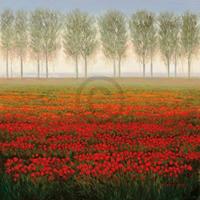 PGM Park - Morning Mist Kunstdruk 68x68cm