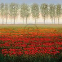 PGM Park - Morning Mist Kunstdruk 68x68cm