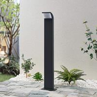 Lucande Tinna LED tuinpadverlichting, 80 cm