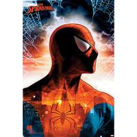 Pyramid Spider Man Protector of the City Poster 61x91,5cm