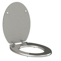 allibert Softclose WC Bril SILVER 367x50x470mm Zilver