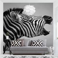 Fototapete Brüllendes Zebra II