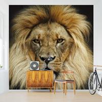 Fototapete Wisdom of Lion