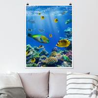 Klebefieber Poster Tiere Underwater Lights