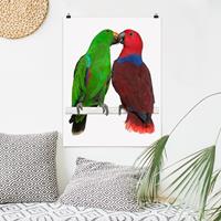 Klebefieber Poster Tiere Verliebte Papageien