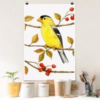 Klebefieber Poster Tiere Vögel und Beeren - Goldzeisig